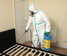 منزلك نظيف مع افضل شركة ابادة بق في مصر